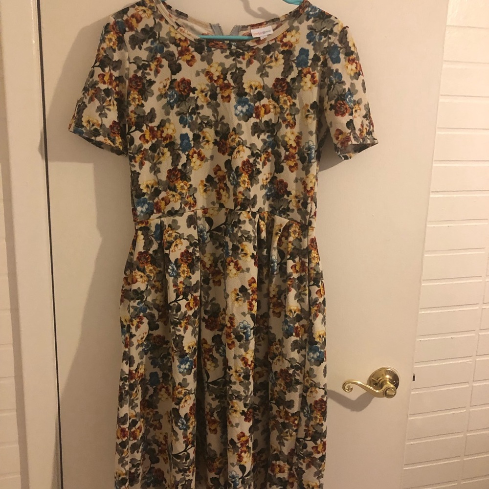 L Amelia Lularoe